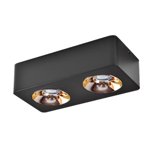 AI Smart Led Surface Double Head Spotlight with Die-Cast Body 24D - 3C (Reflector Color)