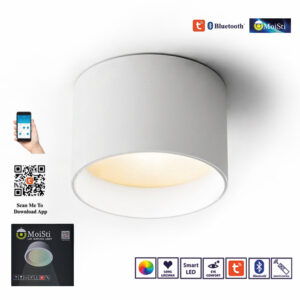 Led Smart Home System AI Round Surface Ceiling Light 3C - TUYA App , Bluetooth, Remote Control (ZN8116)