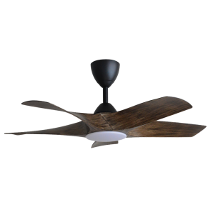 AXIS42L' LED Ceiling Fan Remote Control 5 ABS Blades and 8 Speed with 3C Colour Led