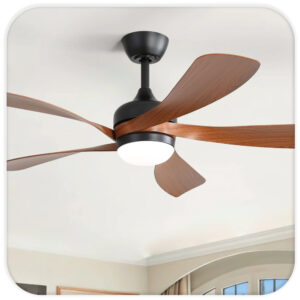 FAN STYLE
