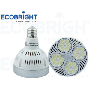 35W.E27 PAR30 LED Spot Light